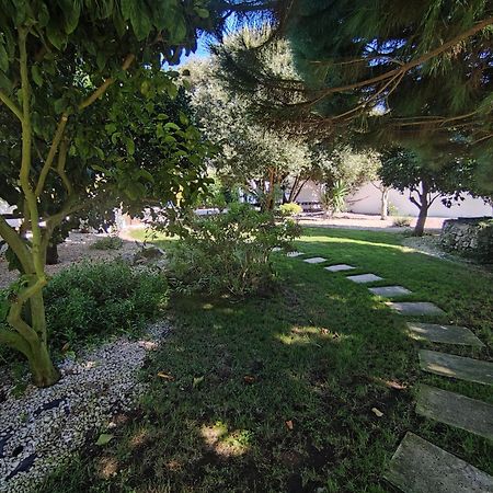 Quinta Camargue Bed & Breakfast Cela Velha Bagian luar foto