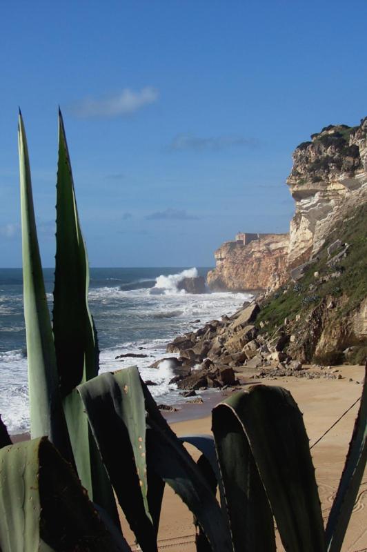 Quinta Camargue Bed & Breakfast Cela Velha Bagian luar foto
